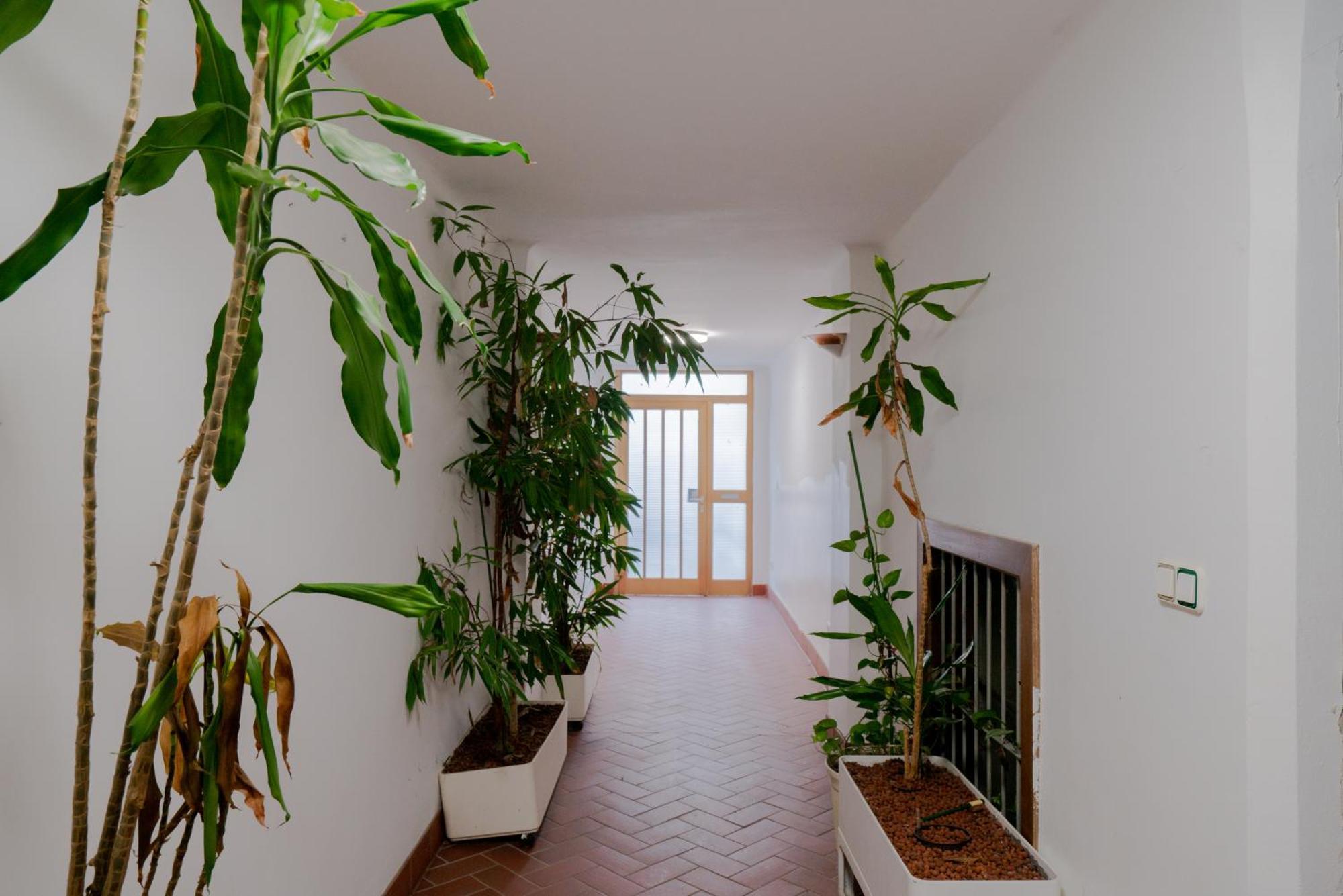 Bessemer - Charming Cottage With Garden เวียนนา ภายนอก รูปภาพ